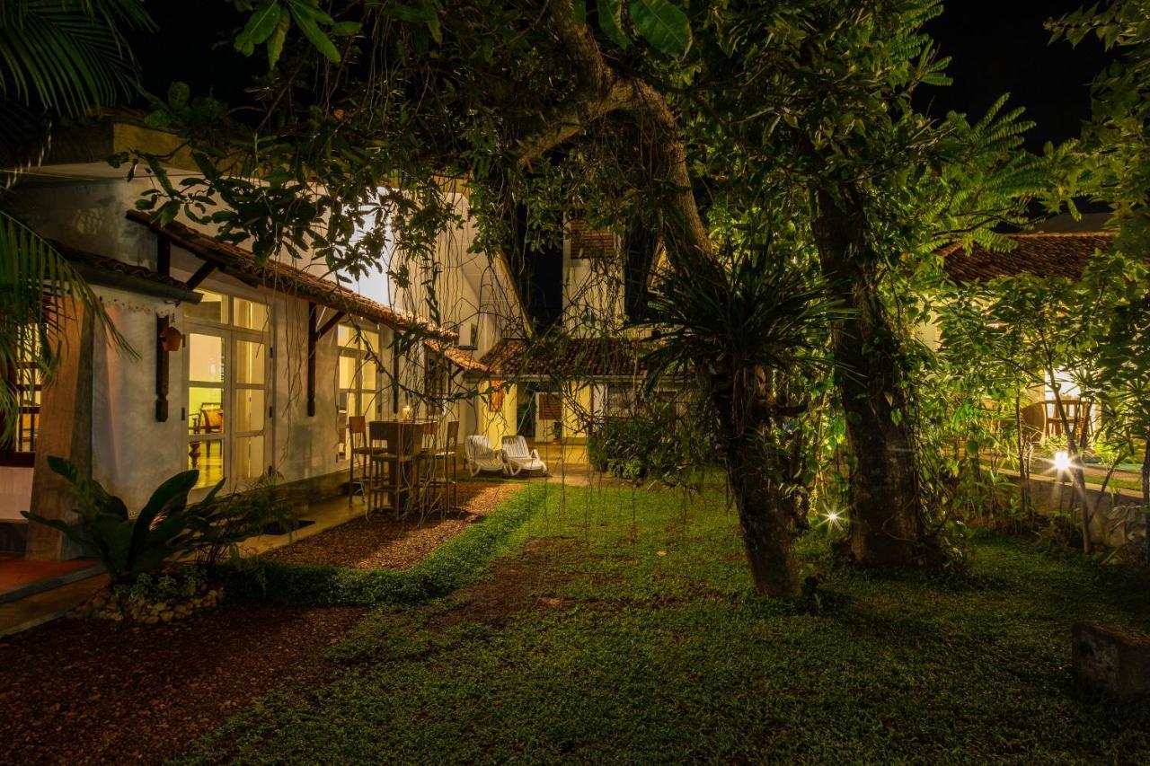 Готель Bilin Tree House Ґалле Екстер'єр фото